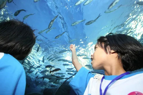 Hero image for กิจกรรม CSR เยาวชน พาน้องท่องโลกใต้ทะเล