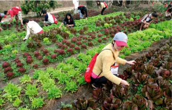 Hero image for Red Bull Spirit TVC "Our Hope" starts airing in July 2009